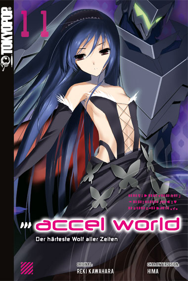 ACCEL WORLD (LIGHT NOVEL) #11