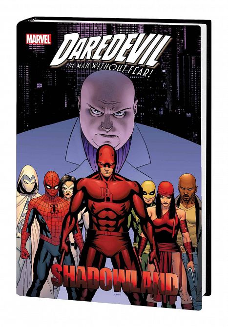 DAREDEVIL SHADOWLAND OMNIBUS HC DAREDEVIL SHADOWLAND OMNIBUS HC