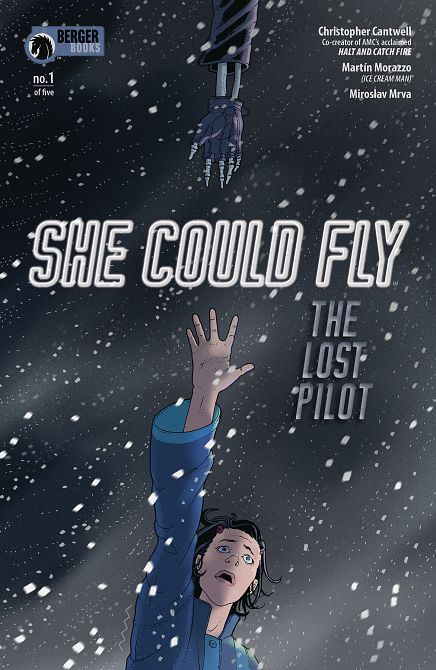 SHE COULD FLY LOST PILOT #1 SHE COULD FLY LOST PILOT #1
