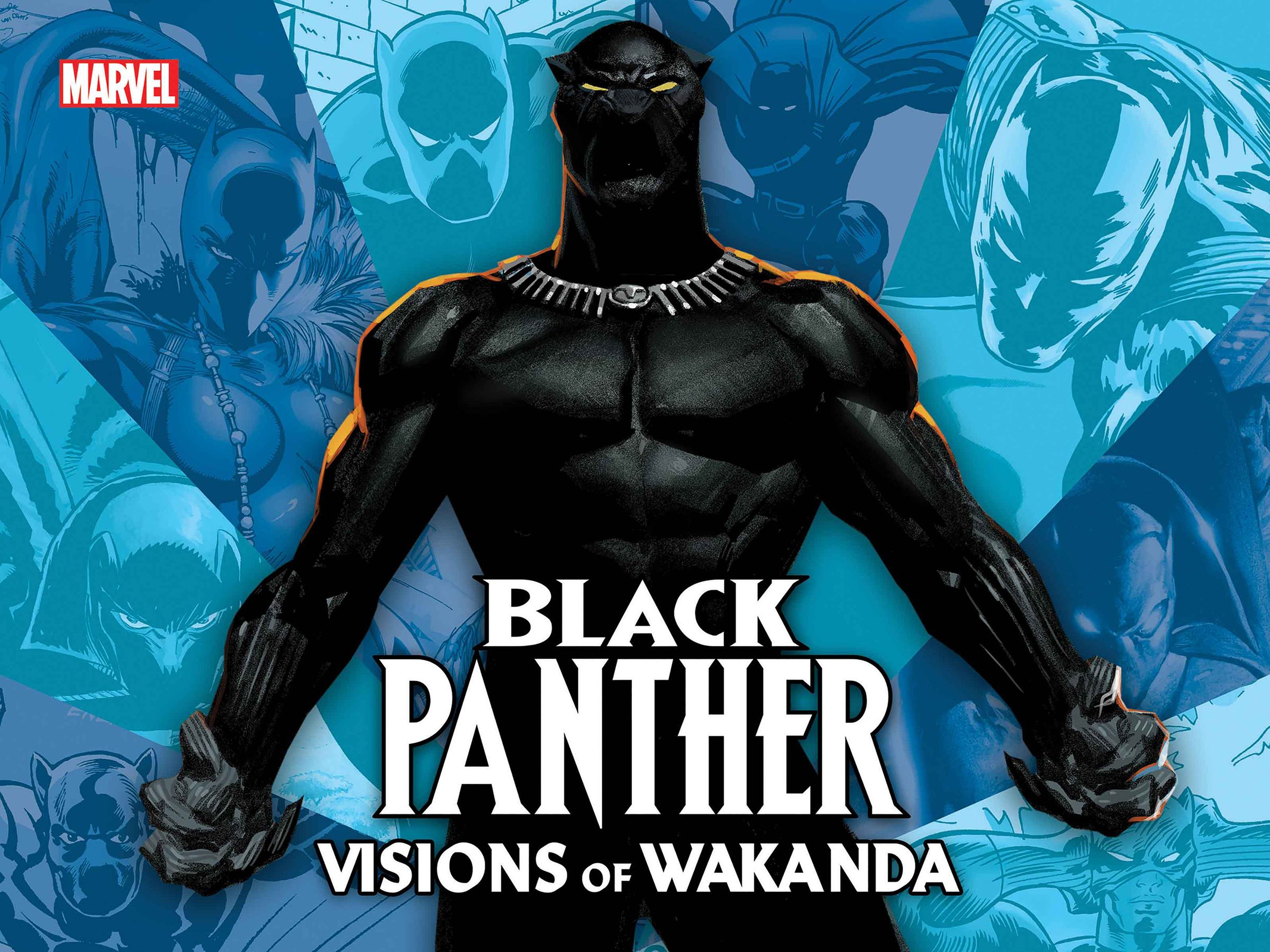 BLACK PANTHER HC VISIONS OF WAKANDA BLACK PANTHER HC VISIONS OF WAKANDA