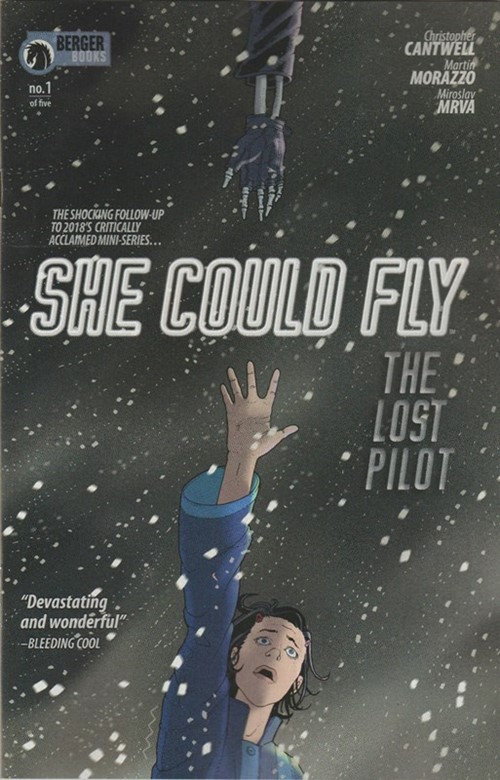 SHE COULD FLY LOST PILOT (2019) SHE COULD FLY LOST PILOT (2019)