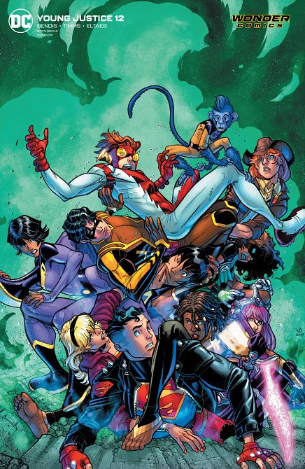 YOUNG JUSTICE #12 YOUNG JUSTICE #12