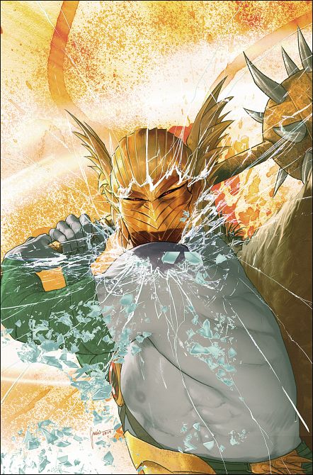 HAWKMAN #22 HAWKMAN #22