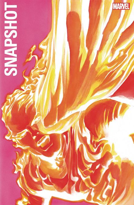 FANTASTIC FOUR MARVELS SNAPSHOT #1 FANTASTIC FOUR MARVELS SNAPSHOT #1