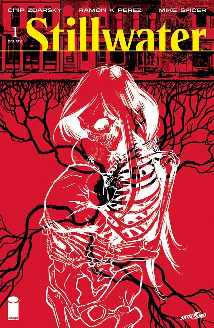 STILLWATER BY ZDARSKY & PEREZ #1 STILLWATER BY ZDARSKY & PEREZ #1
