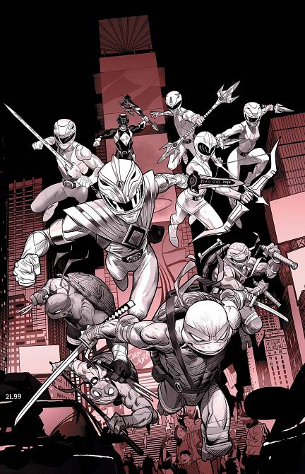 POWER RANGERS TEENAGE MUTANT NINJA TURTLES B&W HC