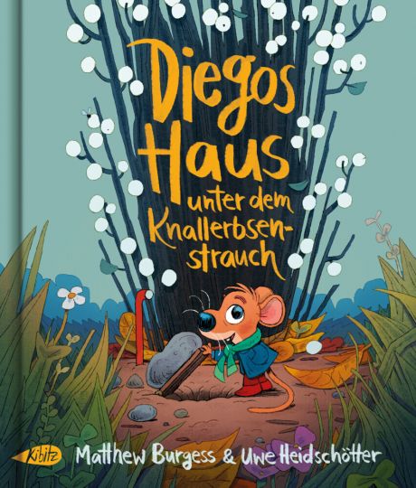 DIEGOS HAUS UNTER DEM KNALLERBSENSTRAUCH DIEGOS HAUS UNTER DEM KNALLERBSENSTRAUCH