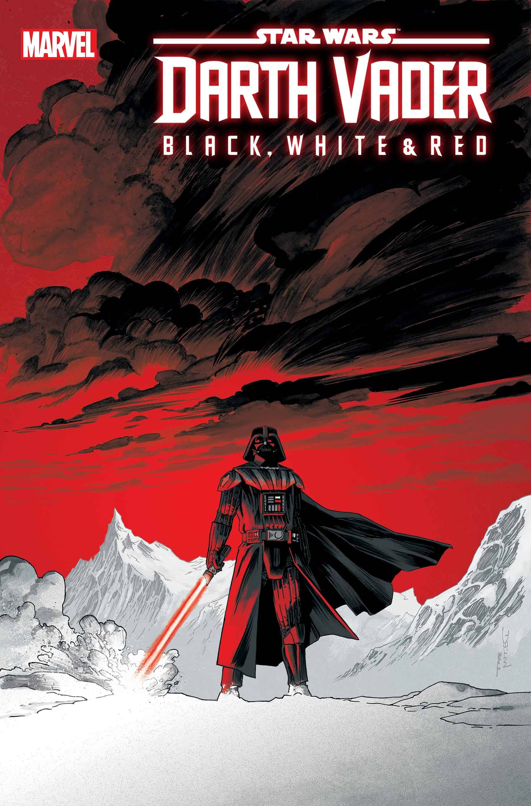 STAR WARS DARTH VADER BLACK WHITE AND RED #2