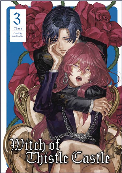 WITCH OF THISTLE CASTLE GN VOL 03