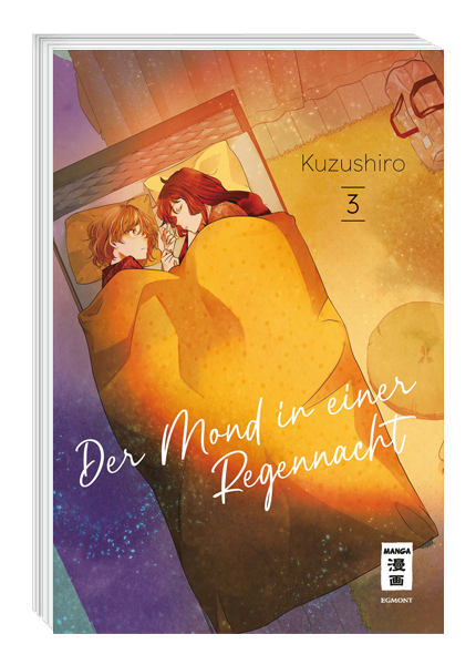 DER MOND IN EINER REGENNACHT #03 DER MOND IN EINER REGENNACHT #03