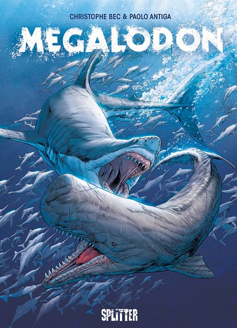 MEGALODON MEGALODON
