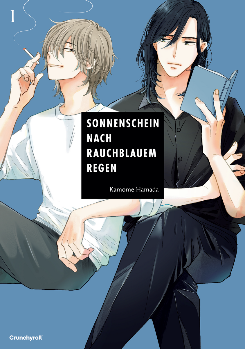 SONNENSCHEIN NACH RAUCHBLAUEM REGEN #01