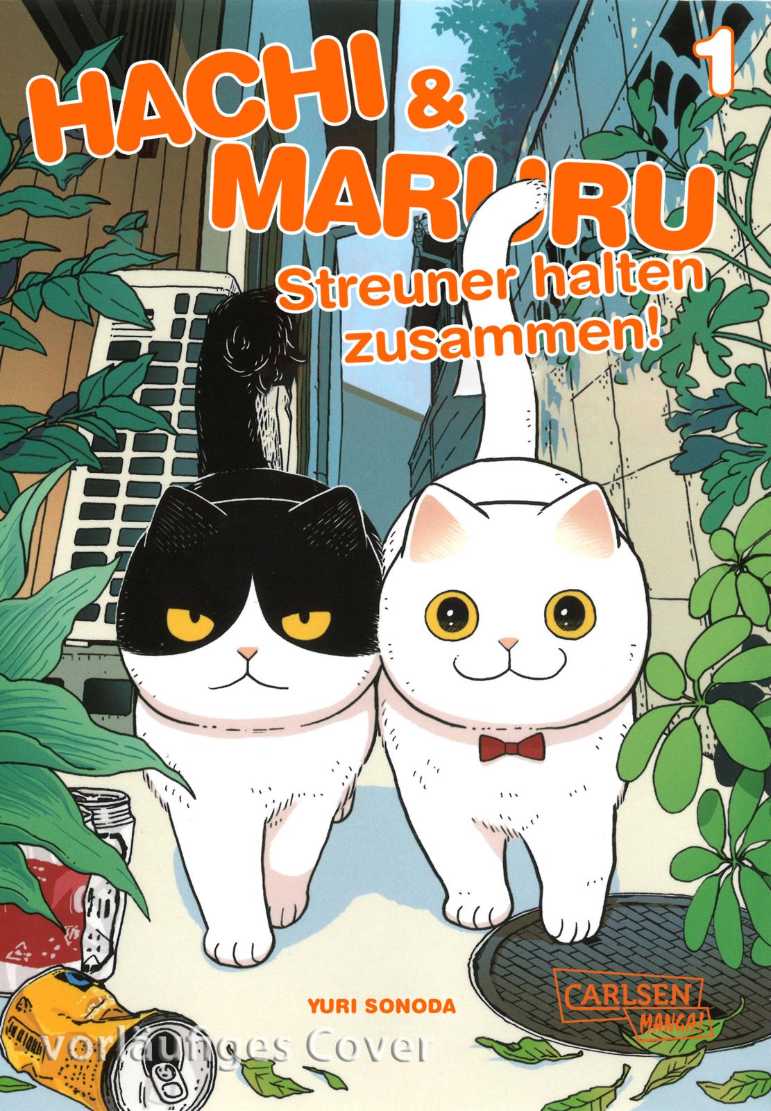 HACHI & MARURU – STREUNER HALTEN ZUSAMMEN! #01