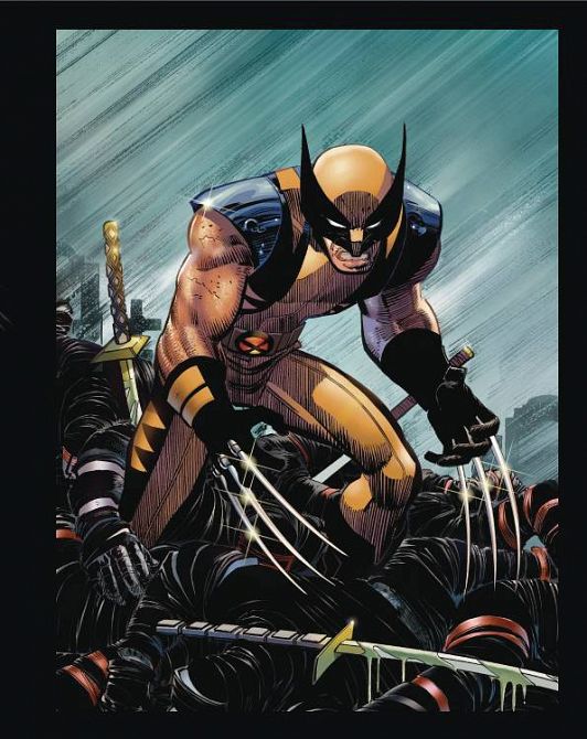 MARVELS DEADPOOL & WOLVERINE ILLUSTRATED HIST BOX SET MARVELS DEADPOOL & WOLVERINE ILLUSTRATED HIST BOX SET