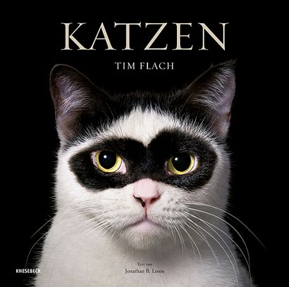 KATZEN KATZEN