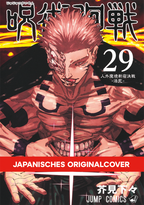 JUJUTSU KAISEN #29 JUJUTSU KAISEN #29