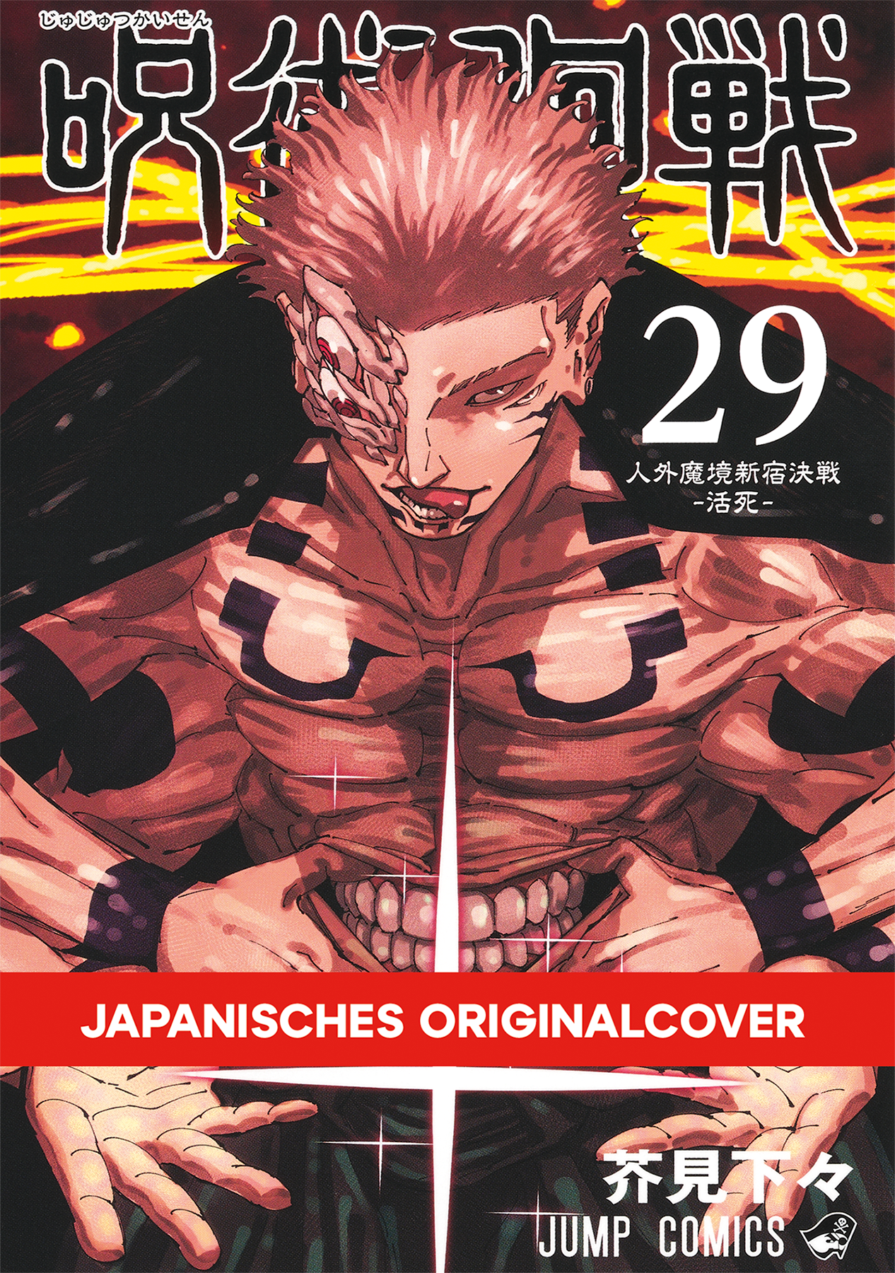 JUJUTSU KAISEN #29 JUJUTSU KAISEN #29