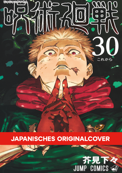 JUJUTSU KAISEN #30 JUJUTSU KAISEN #30