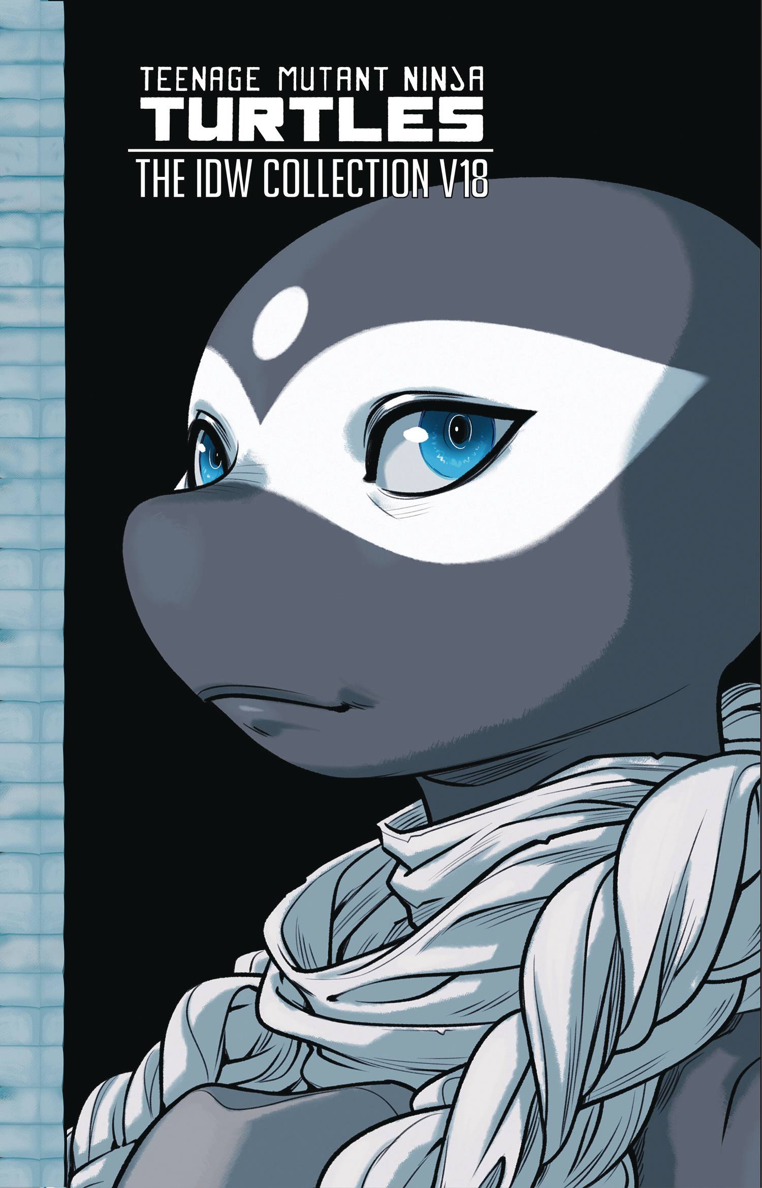 TEENAGE MUTANT NINJA TURTLES ONGOING (IDW) COLL HC VOL 18