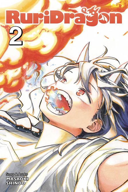 RURIDRAGON GN VOL 02 RURIDRAGON GN VOL 02