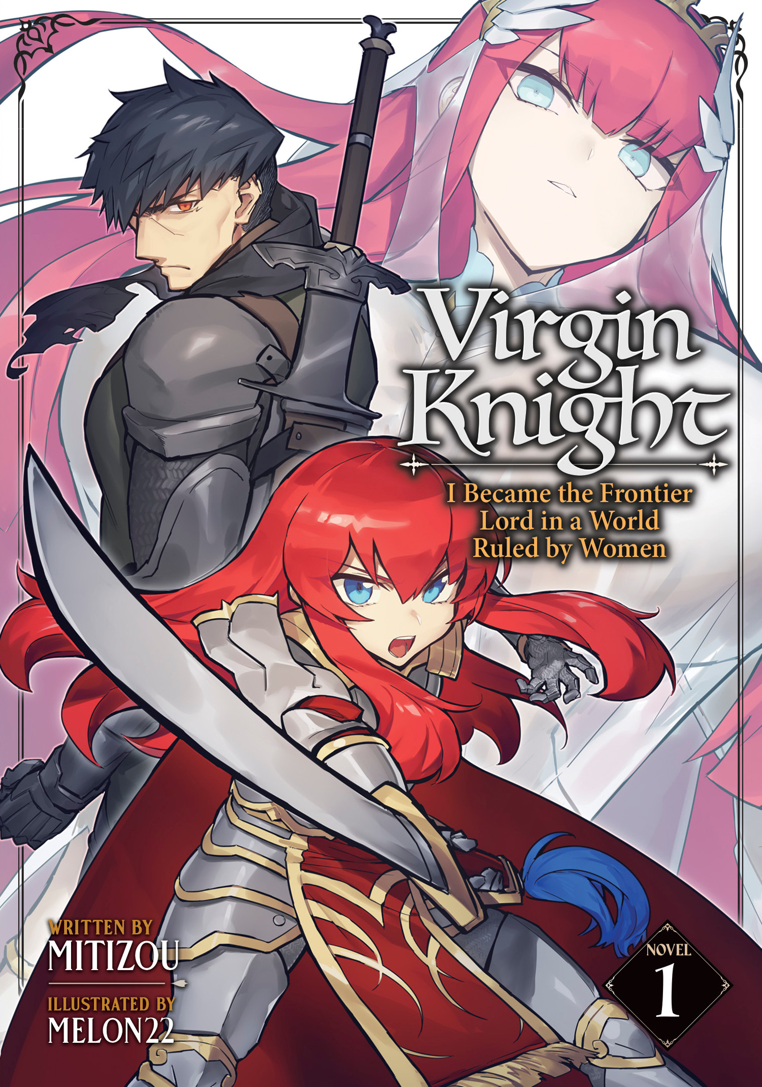 VIRGIN KNIGHT I BECAME THE FRONTIER LORD IN A WORLD RULED BY WOMEN (LIGHT NOVEL) VOL. 01 TP #01