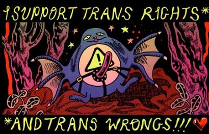BOY ISLAND I SUPPORT TRANS RIGHTS AND TRANS WRONGS STICKER #1 BOY ISLAND I SUPPORT TRANS RIGHTS AND TRANS WRONGS STICKER #1