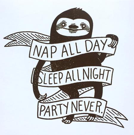NAP ALL DAY SLEEP ALL NIGHT PARTY NEVER SLOTH STICKER #1 NAP ALL DAY SLEEP ALL NIGHT PARTY NEVER SLOTH STICKER #1