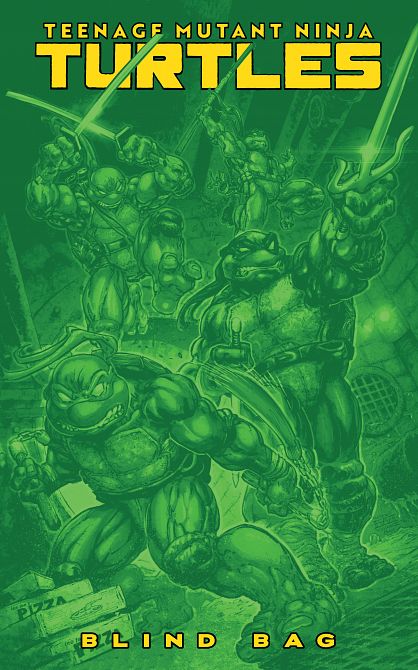 TEENAGE MUTANT NINJA TURTLES #13 TEENAGE MUTANT NINJA TURTLES #13