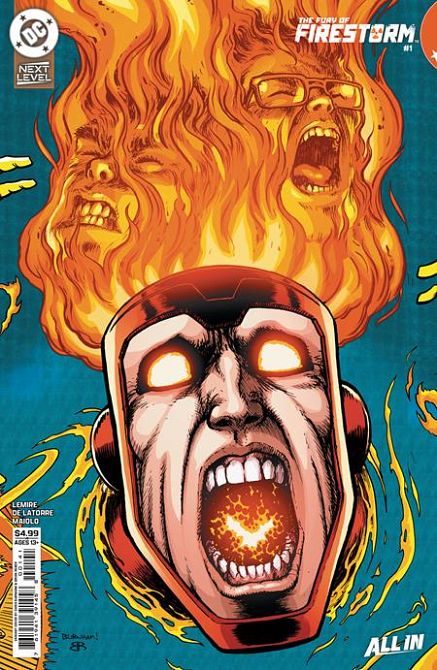 FURY OF FIRESTORM #1