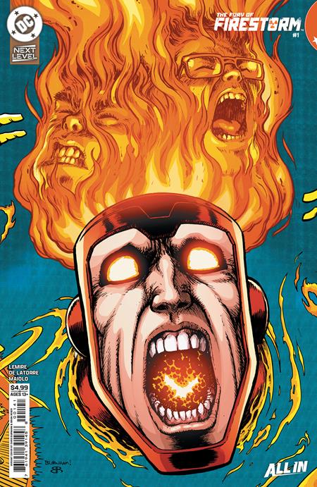 FURY OF FIRESTORM #1