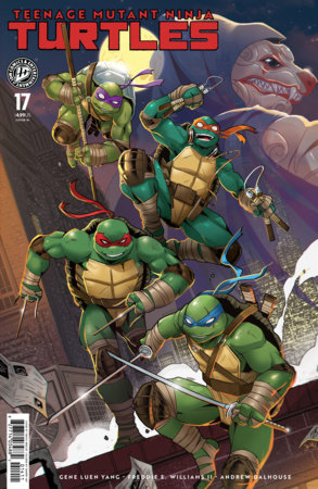 TEENAGE MUTANT NINJA TURTLES #17