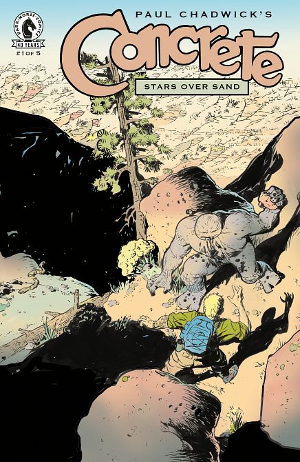 CONCRETE STARS OVER SAND #01