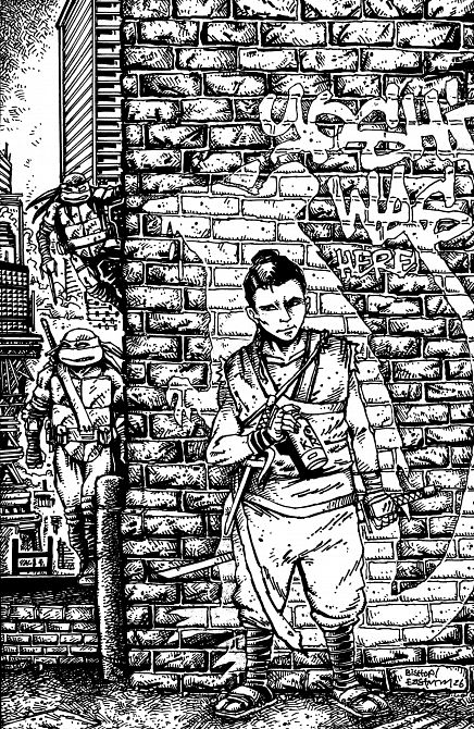 TEENAGE MUTANT NINJA TURTLES #18