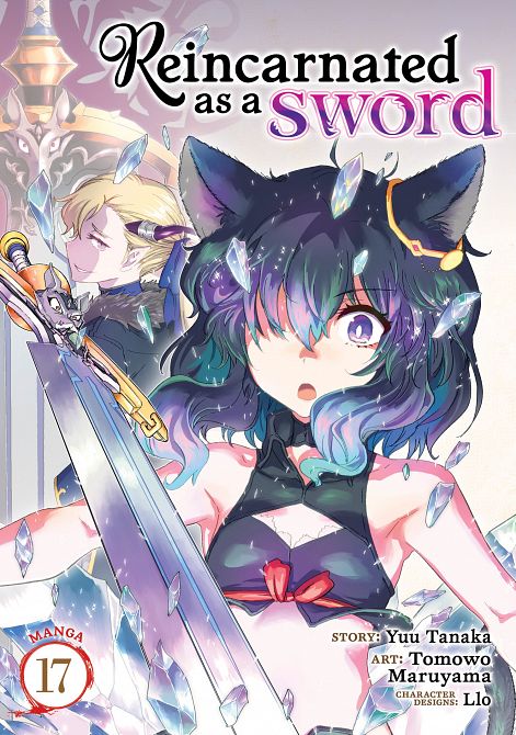REINCARNATED AS A SWORD (MANGA) VOL. 17 TP