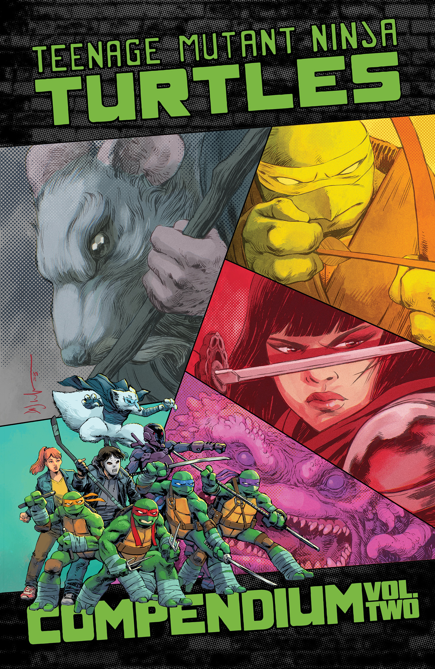 TEENAGE MUTANT NINJA TURTLES ONGOING COMPENDIUM, VOL. 02 TP