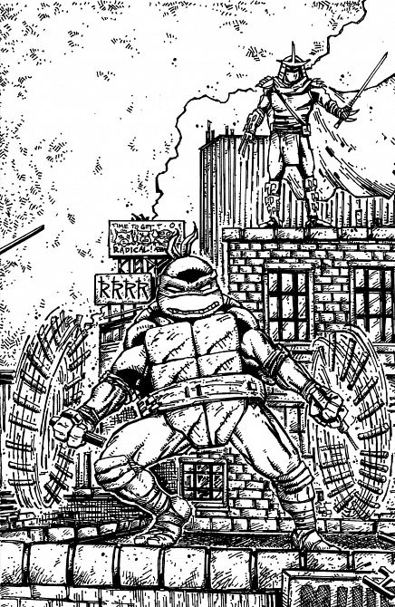 TEENAGE MUTANT NINJA TURTLES #23