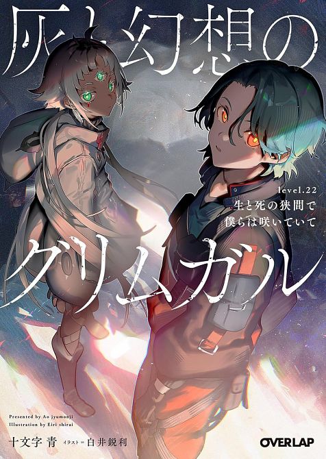 GRIMGAR OF FANTASY AND ASH (LIGHT NOVEL) VOL. 22 TP