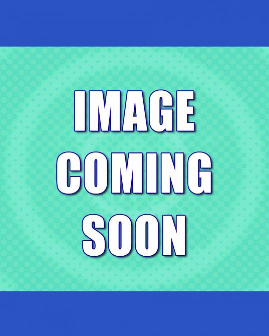 INCREDIBLE HULKS ENIGMA FORCE (2010)